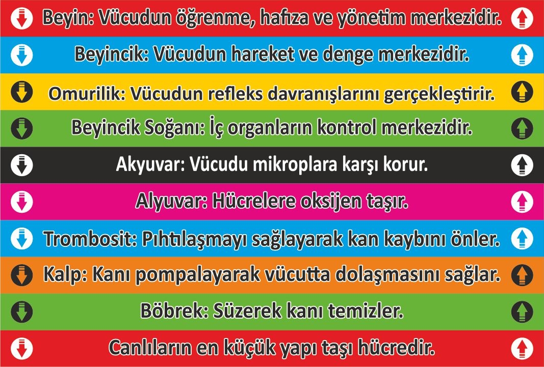 Merdiven%20Yazısı%2029%20(Laminasyonlu)