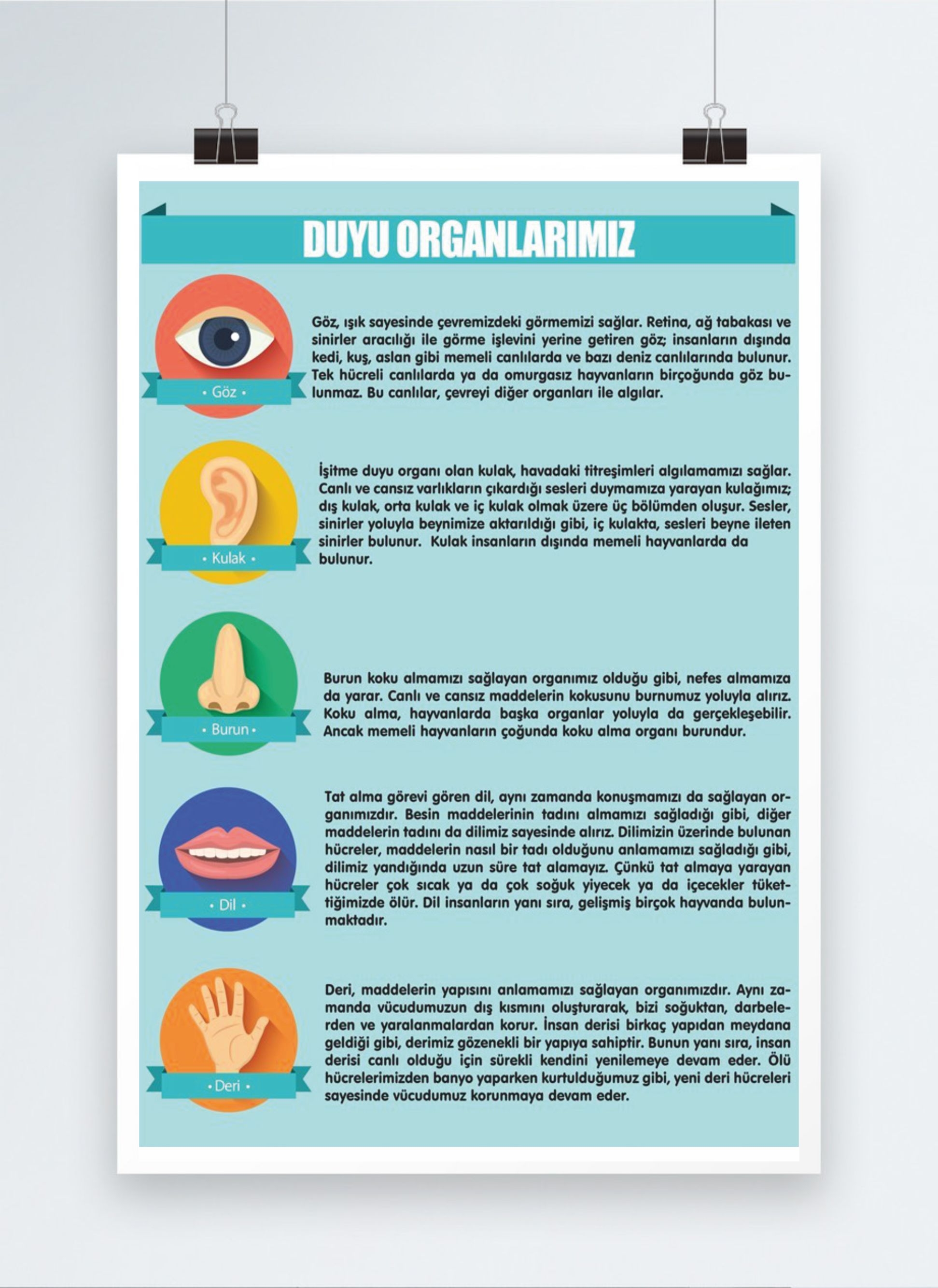 Afiş%20Poster%20Baskı%2064