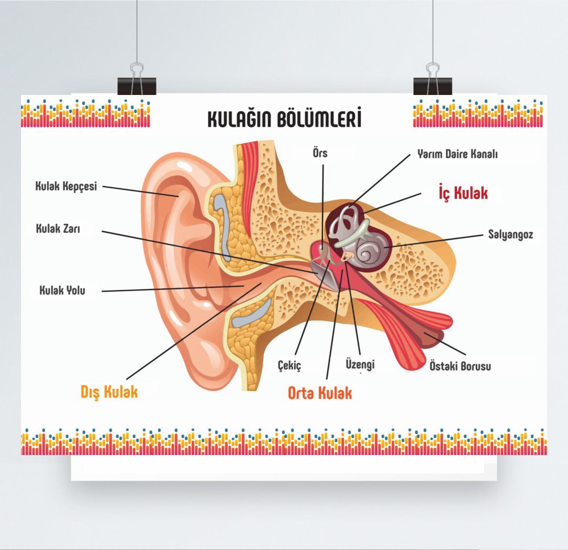 Afiş%20Poster%20Baskı%208