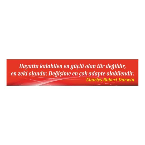 Kiriş Yazıları 39
