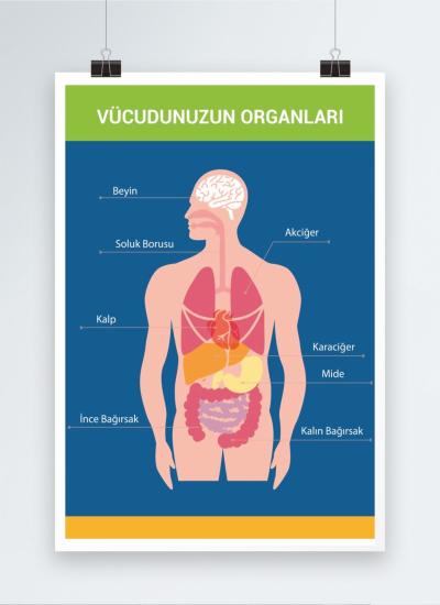 Afiş Poster Baskı 60